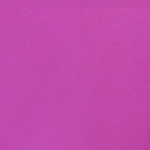 Meet your Posher, Clara